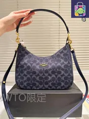 【今日特価】COACH アームマージャンバッグ サイズ 29×16cm レトロカラー-WTO輸入1