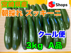 クール便 宮崎県産 ハウス栽培 朝採れ ズッキーニ 3キロ A品 美肌効果 免疫力アップ 便秘解消 血圧対策 ダイエット