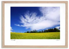 アートフォト 絵画 キガラシ畑と雲 高橋真澄/インテリア 額入り 額装込 風景画 油絵 ポスター アート アートパネル リビング 玄関 プレゼント モダン アートフレーム 飾る Mサイズ おしゃれ 壁掛け 絵