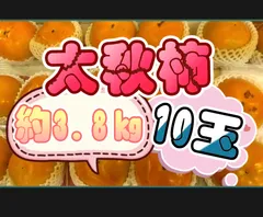 限定特価！福岡県大牟田市（有）亀屋丸ぼうろ３種セット6箱！ shop