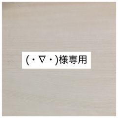(・∇・)様専用