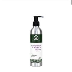 Item thumbnail for item dec9bfd2-3bb2-4158-b641-83c7a87ee294