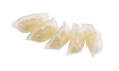 ゆで餃子プラモ 一人前 1/1スケール PS製 組み立て式プラスチックモデル 透明 