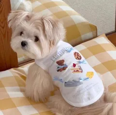 リボンプリントトップス　犬服