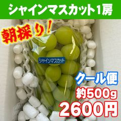 シャインマスカット1房（約500g）【クール宅急便】山梨県笛吹市産