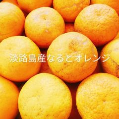 淡路島産なるとオレンジ 2kg ナルト鳴門みかんミカン玉葱たまねぎ送料無料