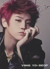 2025年最新】ヤン・ヨソプの人気アイテム - メルカリ