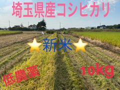 令和4年度　引き取り大歓迎！埼玉県産コシヒカリ玄米10kg 低農薬