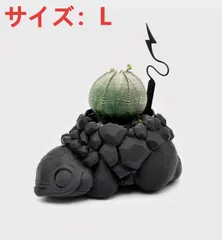 大特価！早い者勝ち！ウィンゾリーと3Dプリンター鉢付き