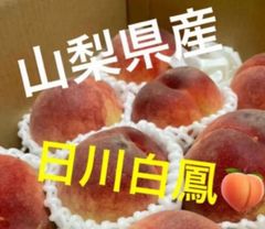 クール便発送‼️山梨県産　日川白鳳　甘い桃　桃　もも　モモ　6-9玉入り