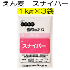 エンバク種子　スナイパー　3kg　雪印種苗【種】緑肥の種　サツマイモの前作　センチュウ対策