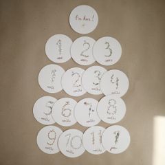 Mushie マンスリーカード マイルストーンカード 月齢フォト おうちフォト 記念撮影 マタニティ 出産準備 Milestone Cards ムシエ