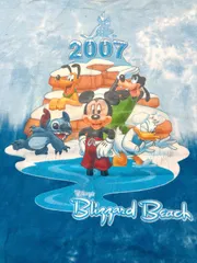 US古着【2007】Walt Disney WorldヴィンテージTシャツ