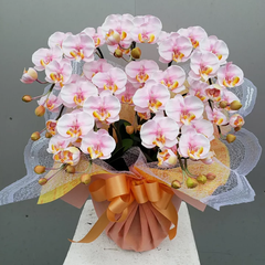 胡蝶蘭S/5F/絞りピンク（造花）高約50×幅40　光触媒コーティング