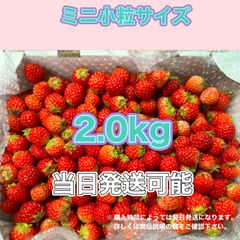 ミニ小粒　約2.0kg　紅ほっぺ　いちご 🍓