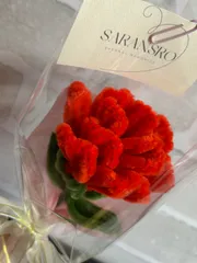 【予約販売】母の日カーネーション、枯れない花、モールフラワー