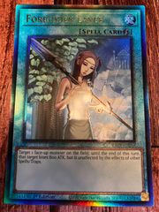 遊戯王 禁じられた聖槍 英語版　ＥＵ版 レリーフ
