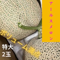【特大】九州産　アールスメロン　特大2玉　《送料無料》フルーツ 果物 くだもの デザート　めろん 甘い 絶品
