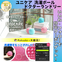 洗濯ボール ドクターランドリー ユニケア からまない スピード乾燥