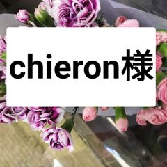 カーネション ラッピング付  クール便  ５０センチ20本（切花 生花  バラ）1