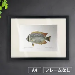 旧作レア　B2大 ポスター　Fishing FISH ON NEXT　ふたり 旧作レア B2大 ポスター Fishing FISH ON NEXT ふたり