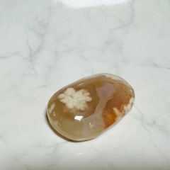 パームストーン𓂃‪𓈒𓏸フォロワー様限定クーポン発行中◡̈⃝