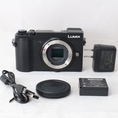 ☆美品・ショット数1515☆ Panasonic LUMIX GX7 Mark III ブラック DC-GX7MK3-K パナソニック ミラーレス一眼カメラ ルミックス #2781