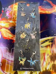 ポケモンセンター メタルチャームセット ヒノアラシ マグマラシ