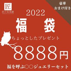 福来 フクロウ 開運 シルバーネックレス アクセサリー福袋レディース ブランド ペア お得女性 おしゃれ 可愛い 寅年 寅 トラ 虎 福袋 錆びない つけっぱなし シンプル