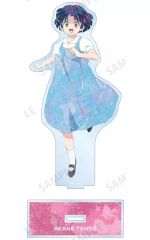 [중고] 아크릴 스탠드 아크릴 패널 천도 아카네 Ani-Art BIG 아크릴 스탠드 [란마 1/2]