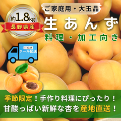生あんず～料理・加工向き～【内容量】約1.8kg【配送方法】クール配送【サイズ】L以上【品目】杏（あんず）【品種】当店お任せ【産地】長野県【規格】ご家庭用A品B品混合【詰め方】バラ詰め【配送までの日数】1～4日