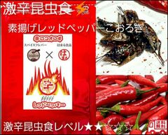 激辛 昆虫食 素揚げ　レッドペッパーコオロギ　5ｇ　究極の罰ゲーム