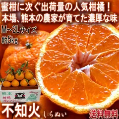 不知火 しらぬい 約5kg M～2Lサイズ中心 熊本県産 個人農家産 熊本県で育てた本場の味わい！デコポンと同品種のタンゴール