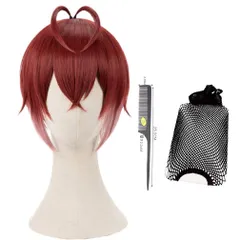 【ネット付】❦リドル・ローズハート ウィッグ❦セット済 ツイステ ☆How to make a Riddle Rosehearts style wig☆Classe - YouTube