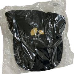 Item thumbnail for item 178eff95-20c6-40bb-9e17-eac3ebef93ba