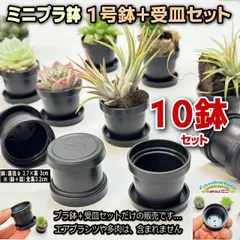 ミニプラ鉢専門店＊1号鉢黒ミニプラ鉢＋受皿⇒10セット＊エアプランツや多肉植物は付属しません＊塊根植物コーデックス・アガベ・サボテン・盆栽・観葉・ハオルチア・アデニウム・パキポディウム＊グラキリス・実生＊ミニプラ鉢に特化した品揃え＊ミニ鉢＠フラワーショップ江口のサムネイル
