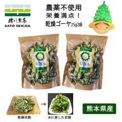 農薬不使用 熊本県産 乾燥ゴーヤ25g2袋セット(水に戻して使える)