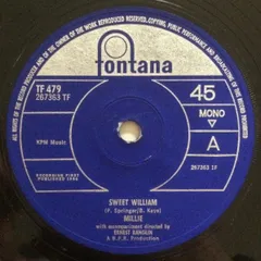 新品未開封 Sweet William Brown ＜カラーヴァイナル＞ WENOD RECORDS : Sweet William - Brown [LP] Arte Sonata