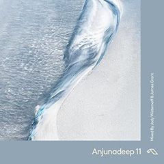 【中古】(非常に良い)Anjunadeep 11 - Mixed By Jody Wisternoff & James Grant [CD]