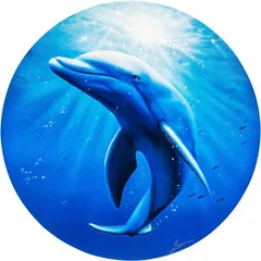 クリスチャン　ラッセン　スターリーアイズL 直筆彩色あり　直筆サイン　イルカ　海 クリスチャン ラッセン スターリーアイズL 直筆彩色あり 直筆