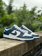 お値下げしました??即購入?? NIKE DUNK LOw “valerian blue” 箱付 男女兼用 dd1391-400
