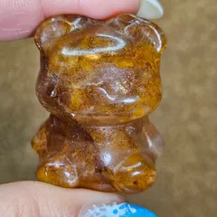 T943-2レア☆マルカバスターマカバデンドリックアイリスゴールデン