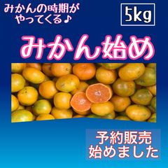 みかん始め　5kg