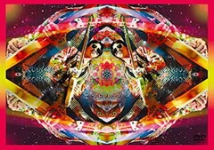 2025年最新】244ENDLI-Xの人気アイテム - メルカリ