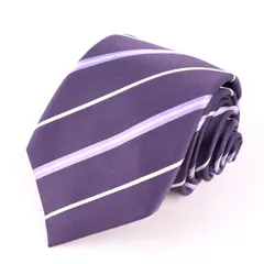 インターナショナルギャラリービームス ブランドネクタイ ストライプ シルク メンズ パープル International Gallery BEAMS 【中古】