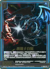 非売品　入手困難品　ライコーオー・エンガ　ドラゴンドライブ　プロモ　未使用品 2025年最新】ドラゴンドライブ dragonの人気アイテム - メルカリ