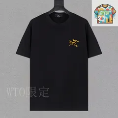 【今日WTO】Arcteryx アークテリクス 25ss プレミアムプリント T シャツ-SK15