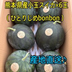 産地直送　熊本県産　小玉スイカ×6玉　ひとりじめbonbon　秀品