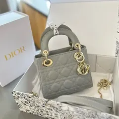 大得価超人気 Dior レディー　YT513 リュック/バックパック