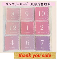 2501【即日発送】★大人気★マンスリーカード　月齢カード　アルバス整理用